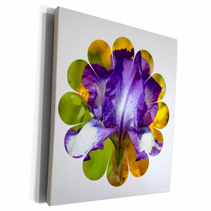 image of Museum Grade Canvas Wrap