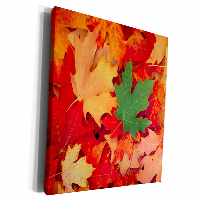 image of Museum Grade Canvas Wrap