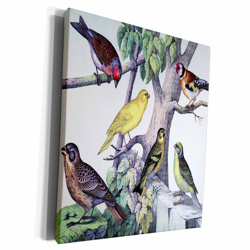 image of Museum Grade Canvas Wrap