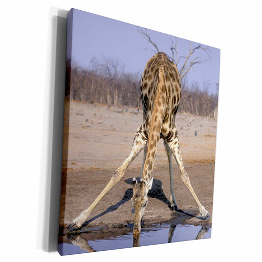 image of Museum Grade Canvas Wrap