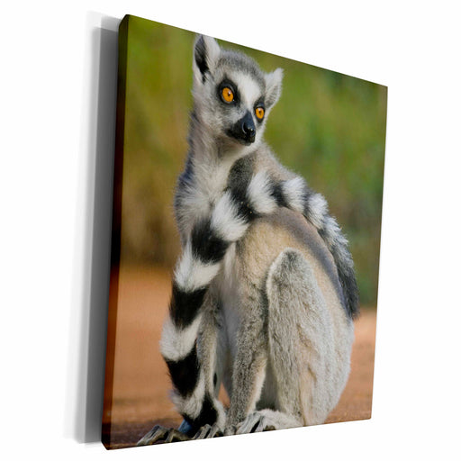 image of Museum Grade Canvas Wrap