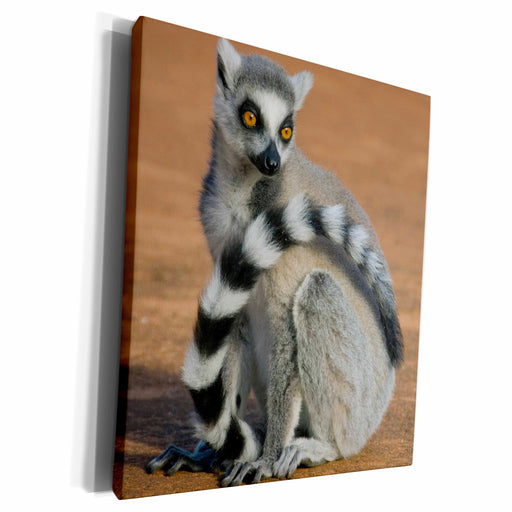 image of Museum Grade Canvas Wrap