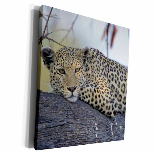 image of Museum Grade Canvas Wrap