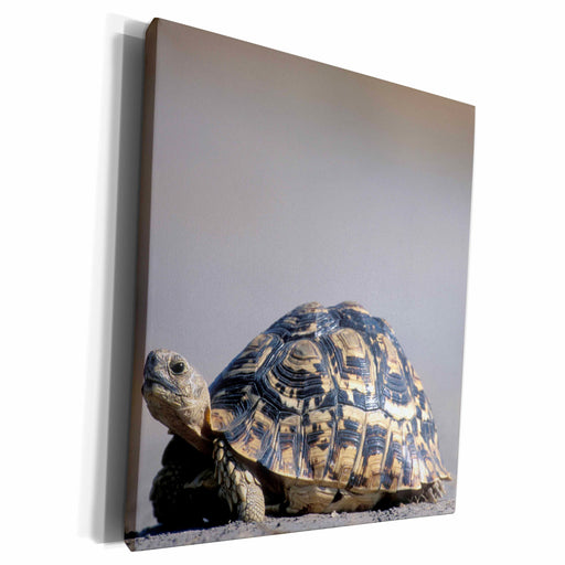 image of Museum Grade Canvas Wrap
