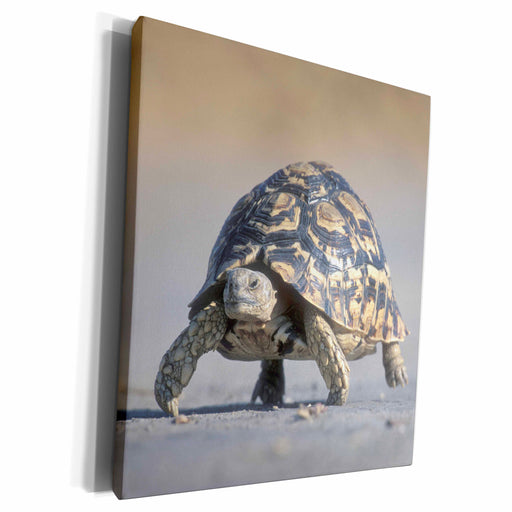 image of Museum Grade Canvas Wrap