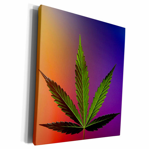 image of Museum Grade Canvas Wrap