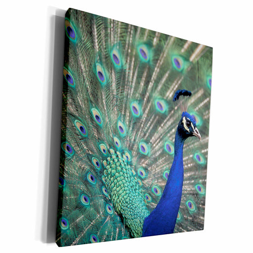 image of Museum Grade Canvas Wrap