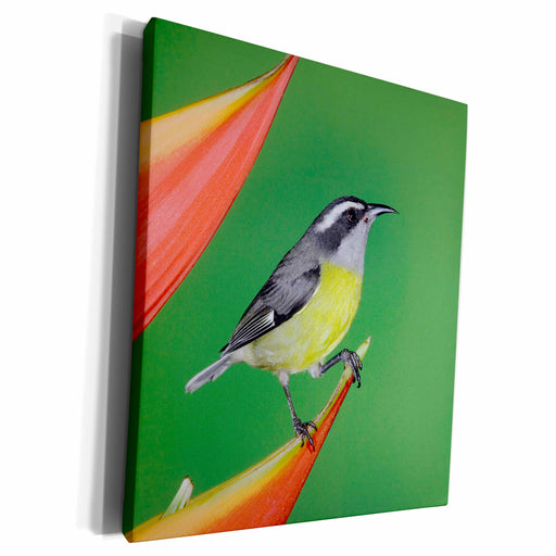 image of Museum Grade Canvas Wrap