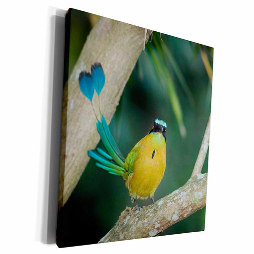 image of Museum Grade Canvas Wrap