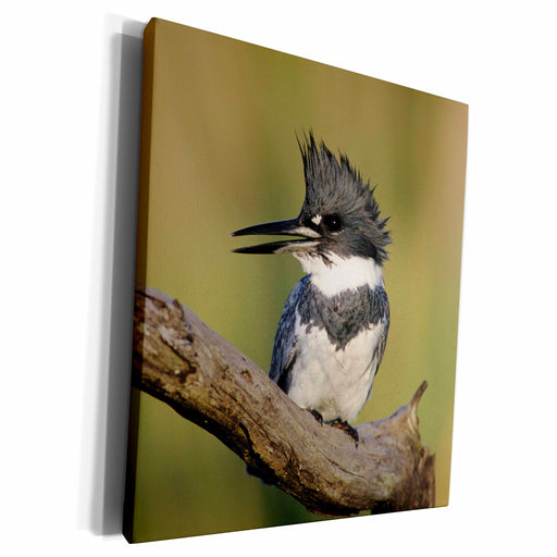 image of Museum Grade Canvas Wrap