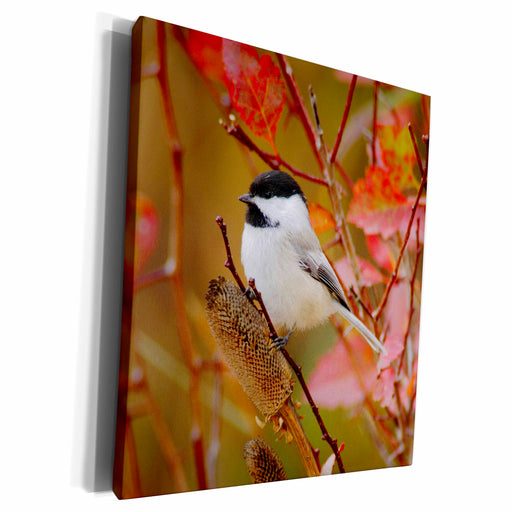 image of Museum Grade Canvas Wrap