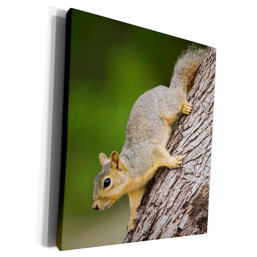 image of Museum Grade Canvas Wrap