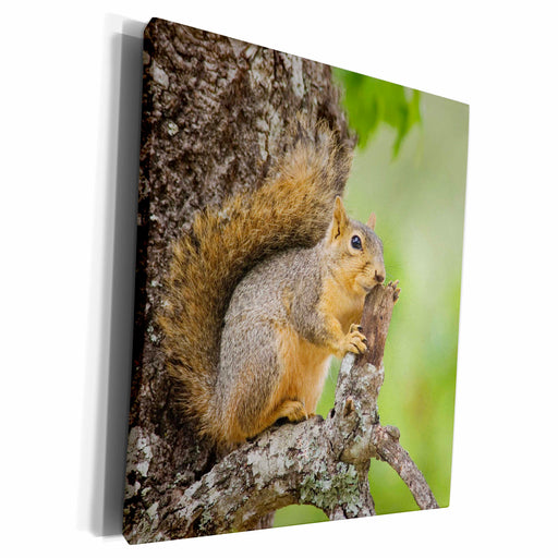 image of Museum Grade Canvas Wrap