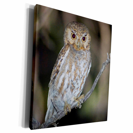 image of Museum Grade Canvas Wrap