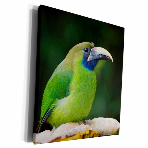 image of Museum Grade Canvas Wrap