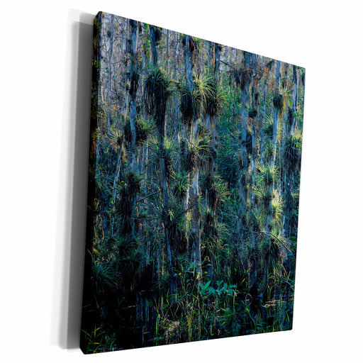 image of Museum Grade Canvas Wrap