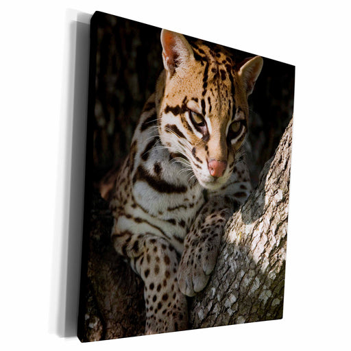 image of Museum Grade Canvas Wrap