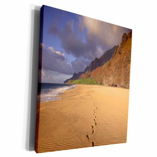 image of Museum Grade Canvas Wrap