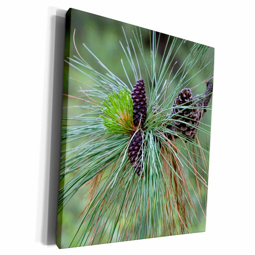 image of Museum Grade Canvas Wrap
