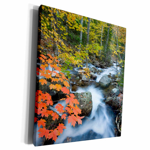 image of Museum Grade Canvas Wrap