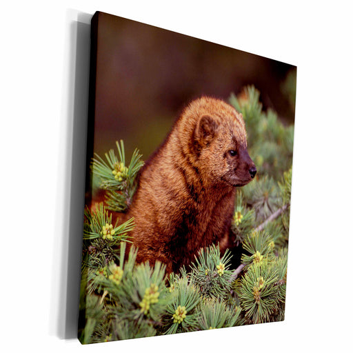image of Museum Grade Canvas Wrap