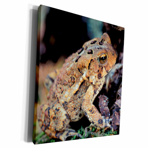 image of Museum Grade Canvas Wrap