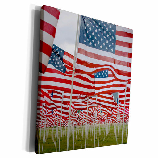 image of Museum Grade Canvas Wrap