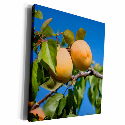 image of Museum Grade Canvas Wrap