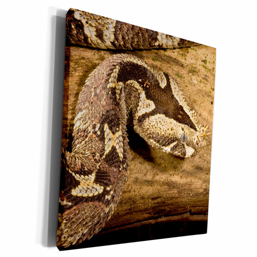 image of Museum Grade Canvas Wrap