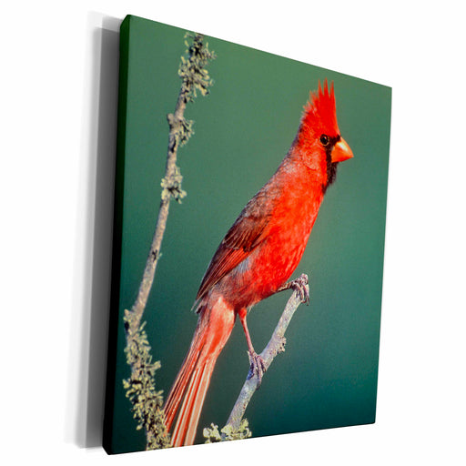 image of Museum Grade Canvas Wrap