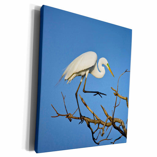 image of Museum Grade Canvas Wrap