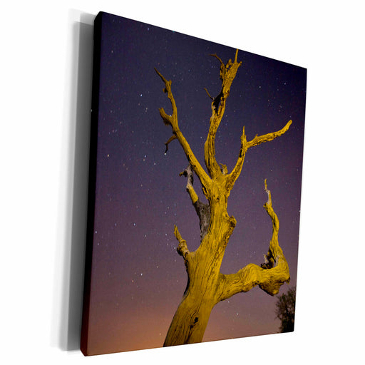 image of Museum Grade Canvas Wrap