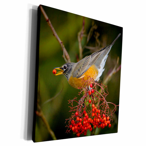 image of Museum Grade Canvas Wrap