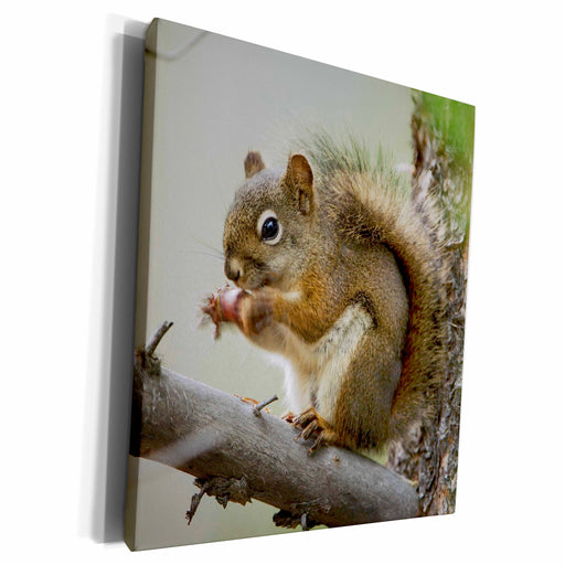 image of Museum Grade Canvas Wrap