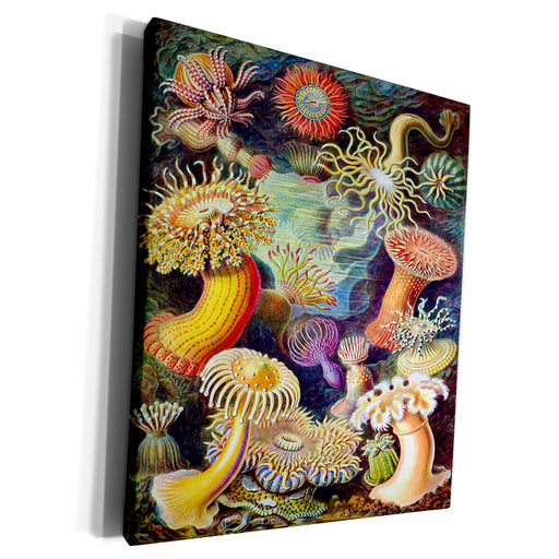 image of Museum Grade Canvas Wrap