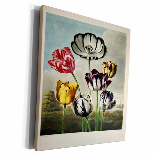 image of Museum Grade Canvas Wrap