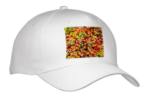 image of Adult Baseball Cap