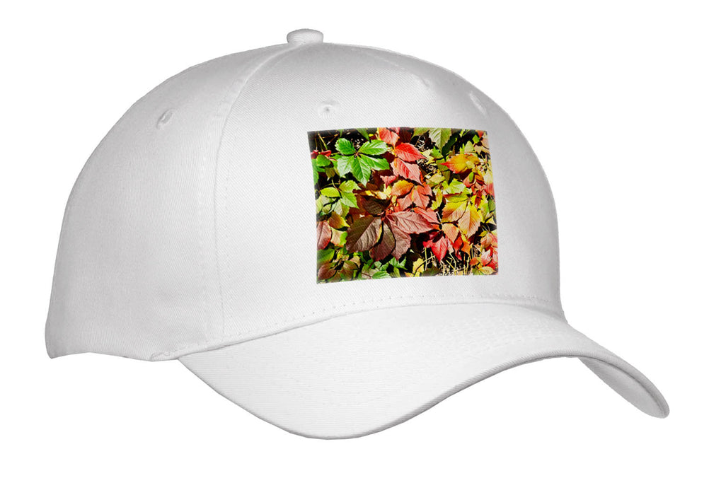 image of Youth Baseball Cap