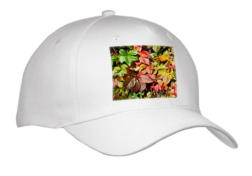 image of Adult Baseball Cap