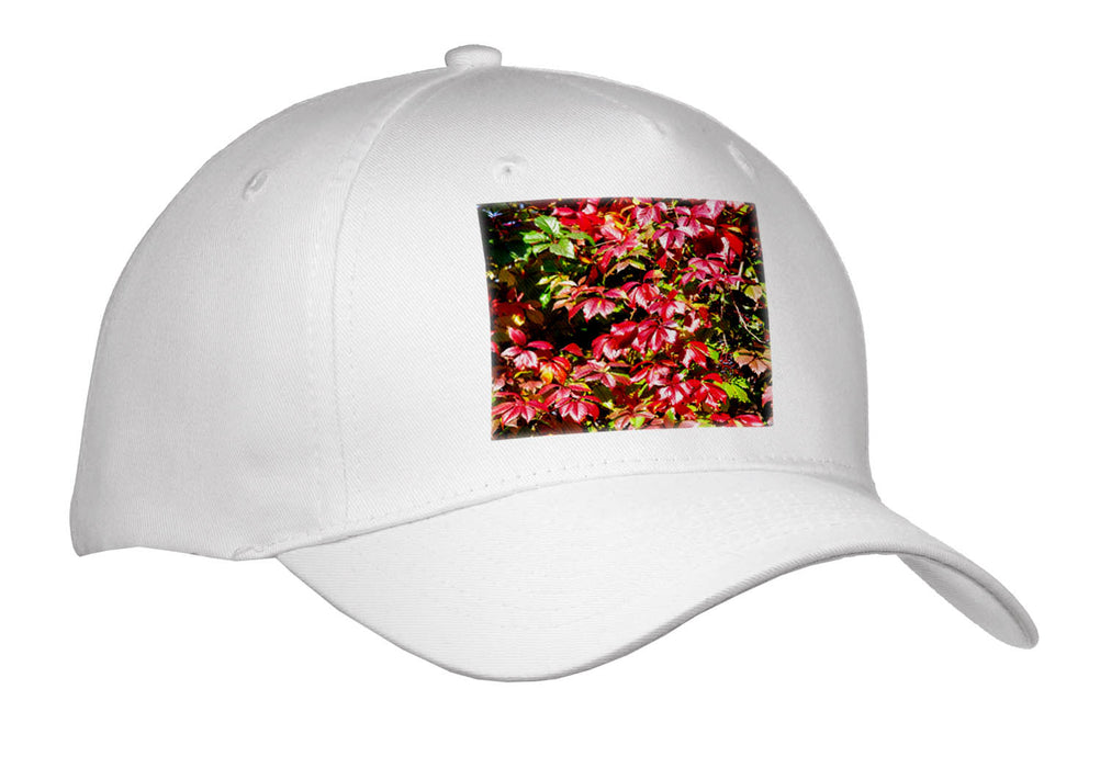 image of Youth Baseball Cap