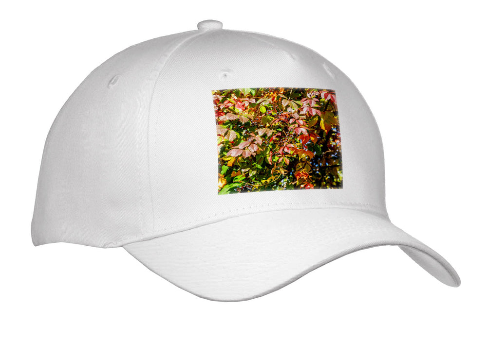 image of Youth Baseball Cap