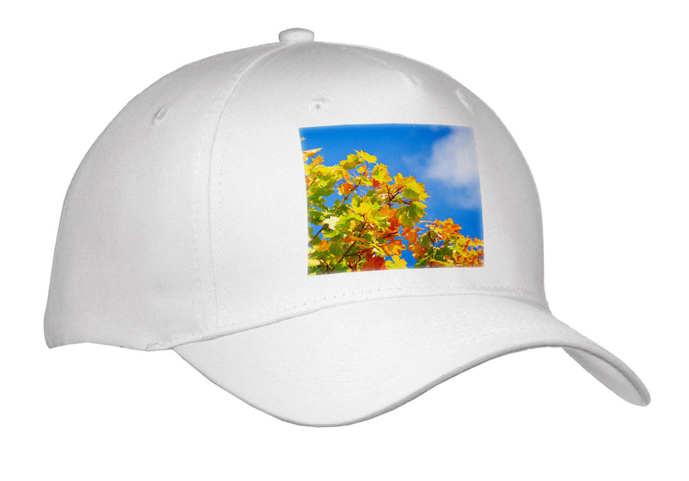 image of Youth Baseball Cap