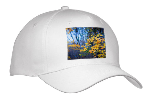 image of Adult Baseball Cap