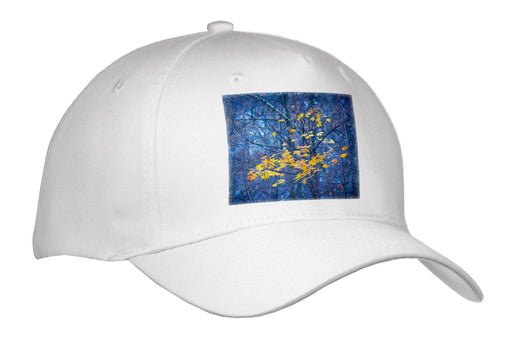 image of Adult Baseball Cap