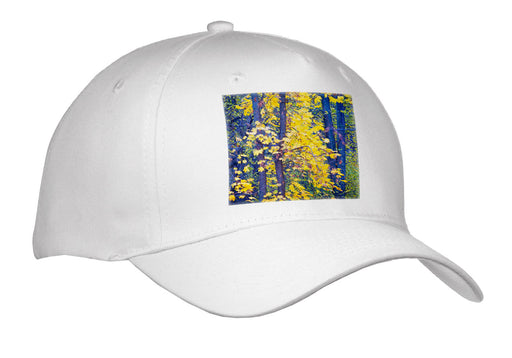 image of Adult Baseball Cap