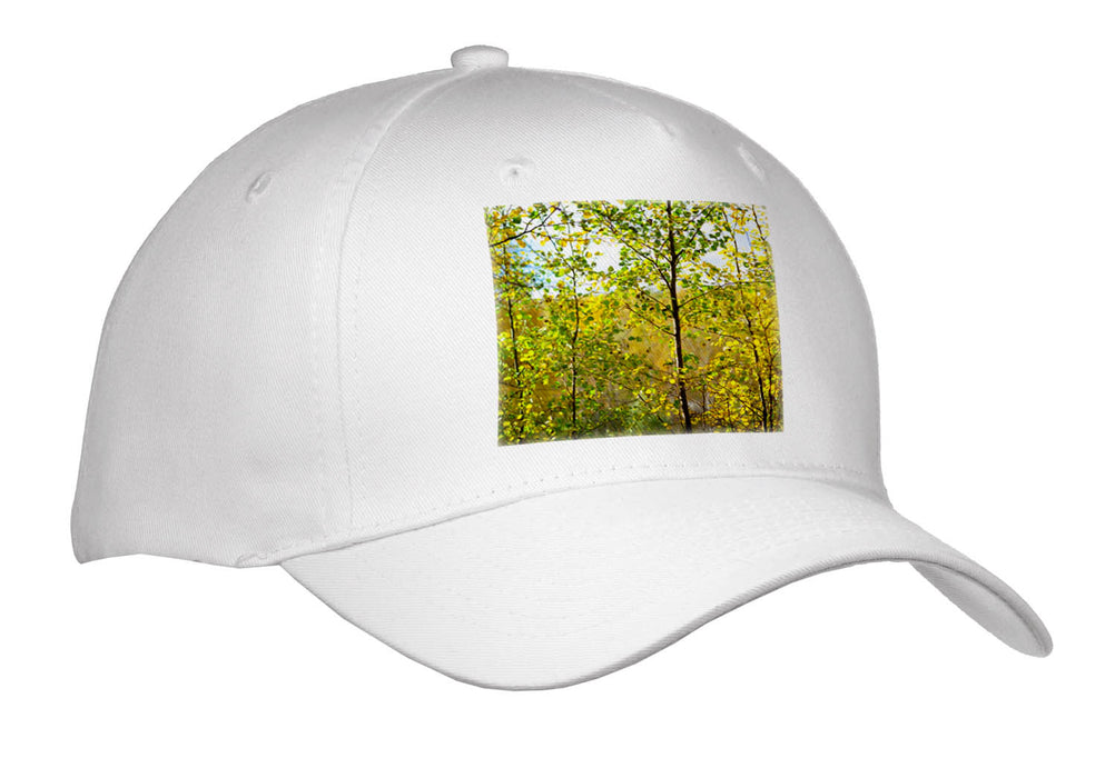 image of Youth Baseball Cap