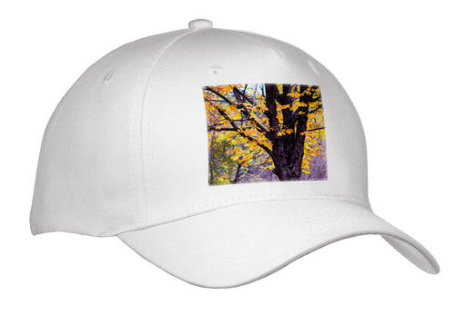 image of Adult Baseball Cap