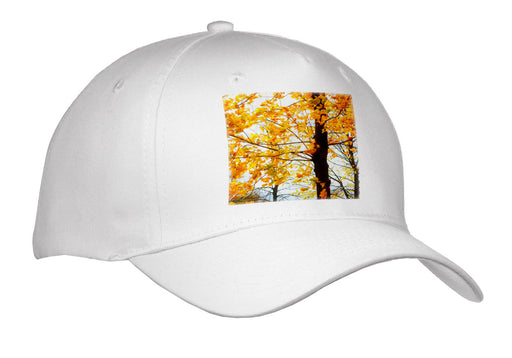 image of Adult Baseball Cap