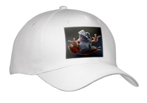 image of Adult Baseball Cap