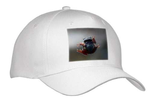 image of Adult Baseball Cap